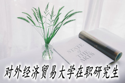 對外經濟貿易大學在職研究生