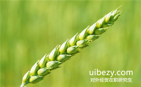對外經濟貿易大學在職研究生考試科目是什么