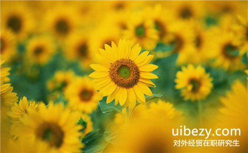 2017年對外經濟貿易大學在職研究生報名流程