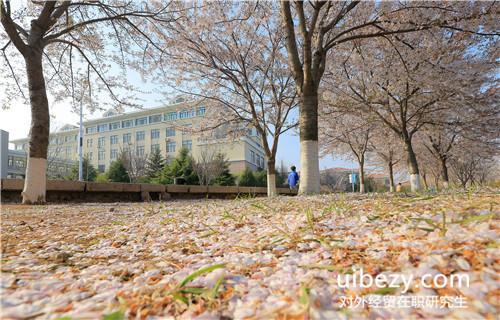 對外經貿大學在職攻讀研究生和統招研究生證書含金量 對外經貿大學在職攻讀研究生和統招研究生證書含金量