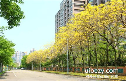 在職攻讀對(duì)外經(jīng)貿(mào)在職研究生可以獲得碩士學(xué)歷嗎? 在職攻讀對(duì)外經(jīng)貿(mào)在職研究生可以獲得碩士學(xué)歷嗎?