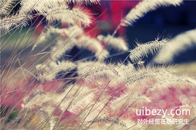 2018年對外經貿在職研究生復試難嗎? 2018年對外經貿在職研究生復試難嗎?