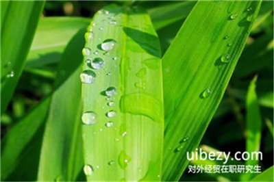 對外經濟貿易大學在職研究生在職碩士的報考條件是什么?