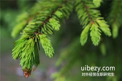 對外經(jīng)濟(jì)貿(mào)易大學(xué)在職研究生入學(xué)條件高嗎?