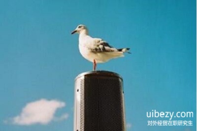 對外經濟貿易大學同等學力申碩的論文答辯難度怎么樣? 對外經濟貿易大學同等學力申碩的論文答辯難度怎么樣?