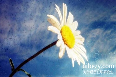 對外經濟貿易大學在職研究生如何提高學習效率? 對外經濟貿易大學在職研究生如何提高學習效率?
